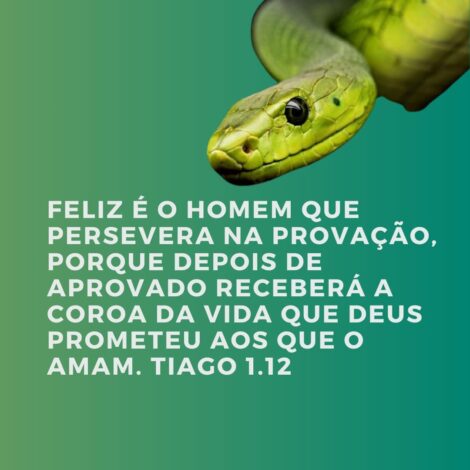 Versículos Sobre a Tentação