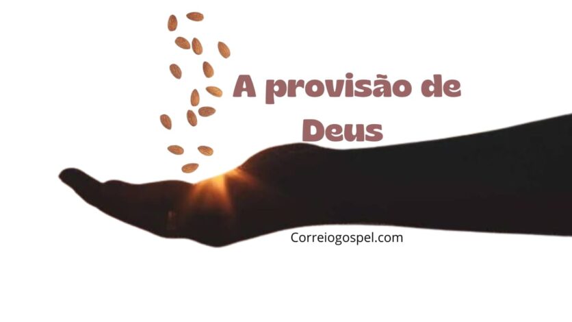 Devocional - A Provisão de Deus 