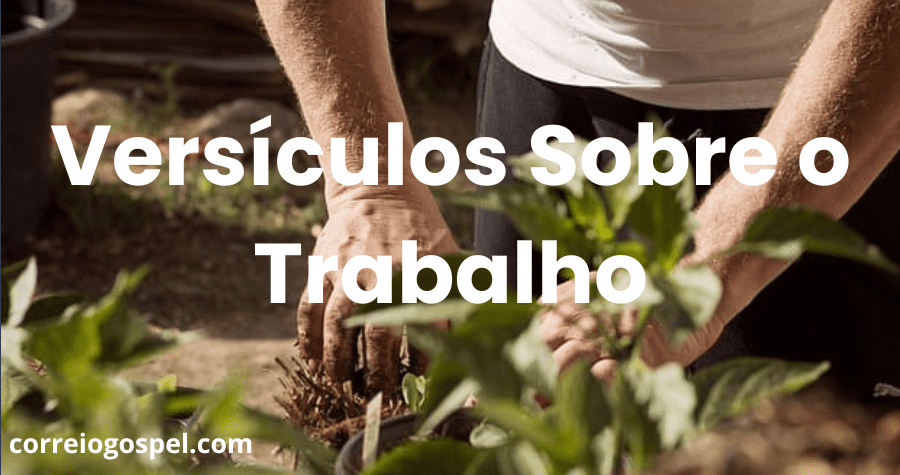 Versículos Sobre o Trabalho
